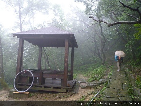 承天禪寺.石門內尖山.石門內尖東峰 022.JPG