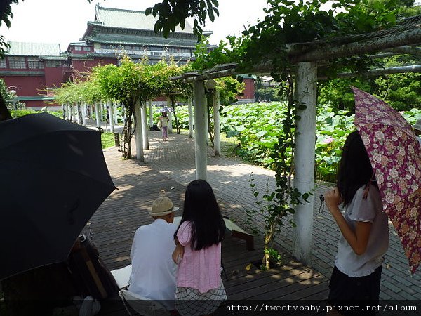 台北植物園 023.JPG