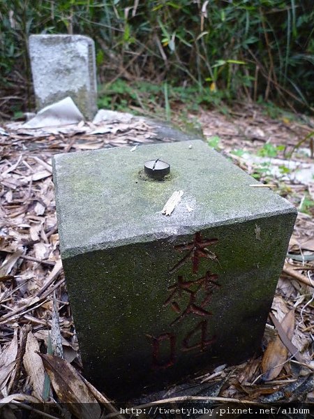 富德山.密婆坑山.福德坑山 109.JPG
