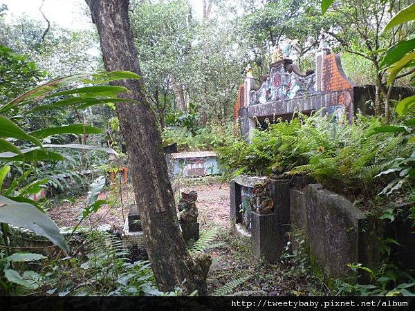 下大坑山.萬順寮山.深坑庄.阿柔洋 088.JPG