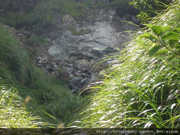 冷水坑公共溫泉.七股山登山口.牛奶湖 075.JPG