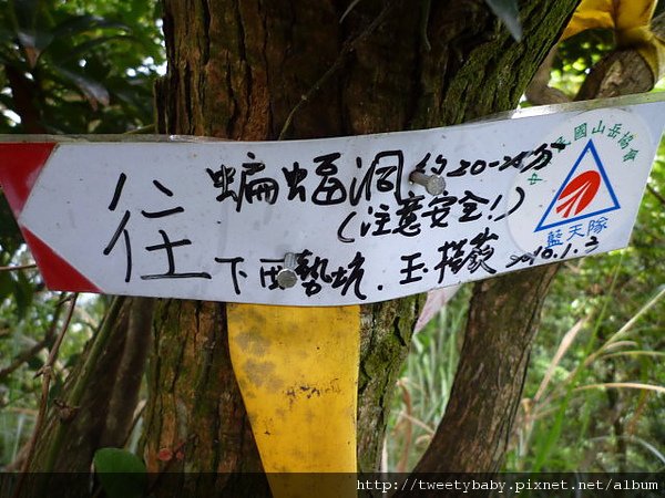 蝙蝠洞.皇帝殿東峰.玉京山 057.JPG