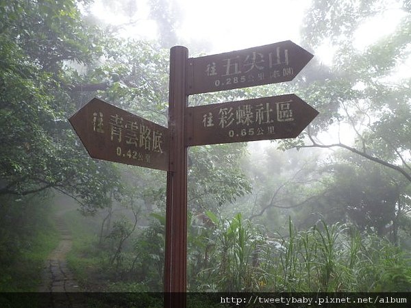 牛埔頭山(五尖山) 045.JPG