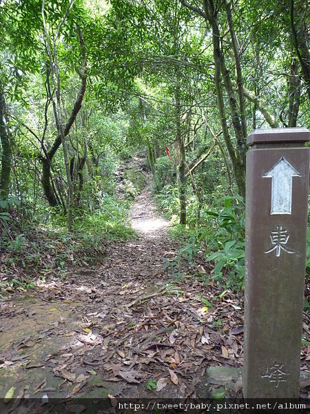 蝙蝠洞.皇帝殿東峰.玉京山 127.JPG