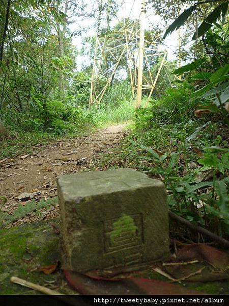 軍功山.中埔山.魚民日式料理 038.JPG