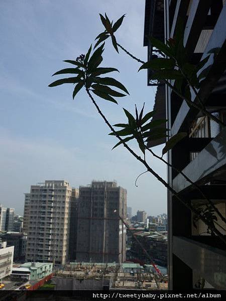 環島逐夢的阿順 049.JPG
