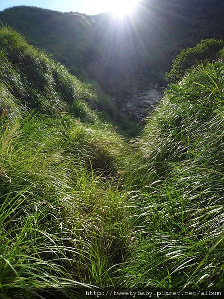 冷水坑公共溫泉.七股山登山口.牛奶湖 074.JPG