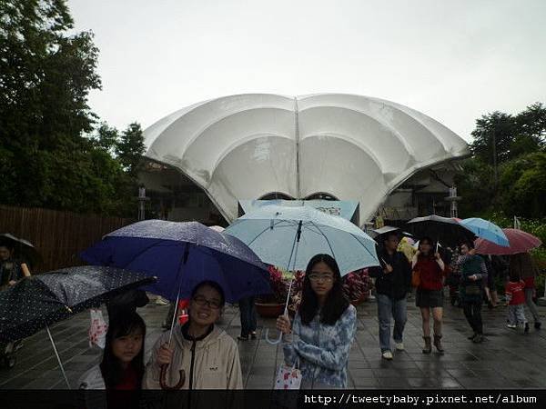 雨天花博全家福 053.JPG