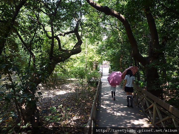 台北植物園 029.JPG