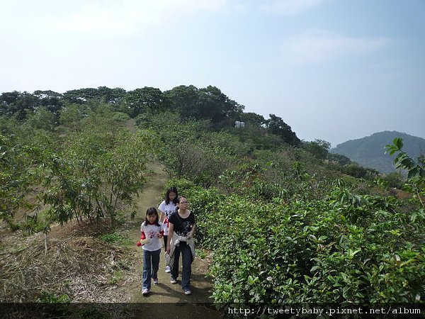 圓潭子坑山.待老坑山.二殯送行 025.JPG