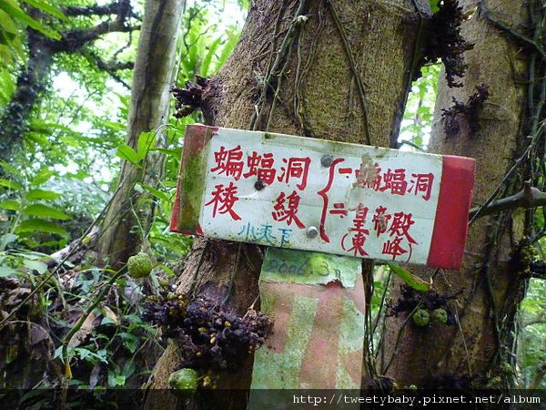 蝙蝠洞.皇帝殿東峰.玉京山 032.JPG