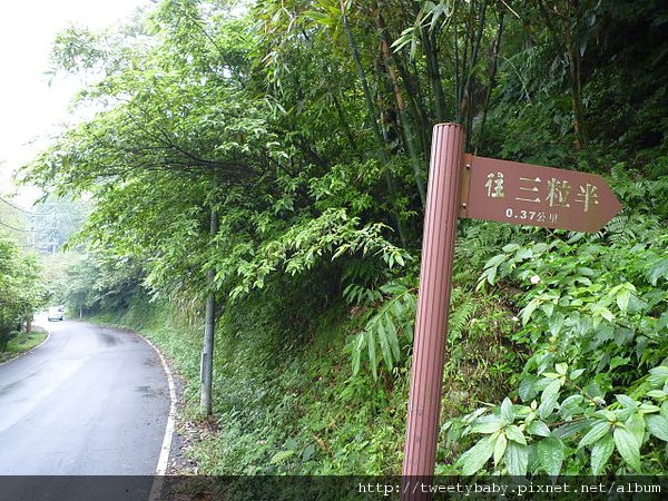 三粒半.天上山.火焰山.雷公岩 003.JPG