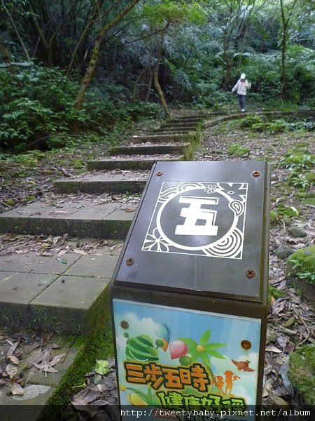 慈母峰.中央尖 009.JPG