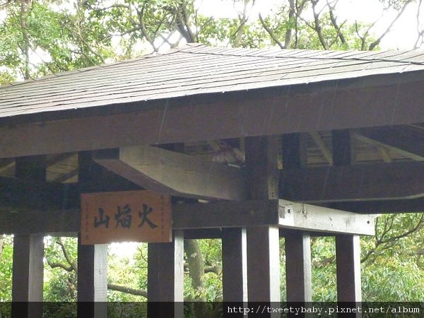 大墓公.承天禪寺.火焰山 098.JPG