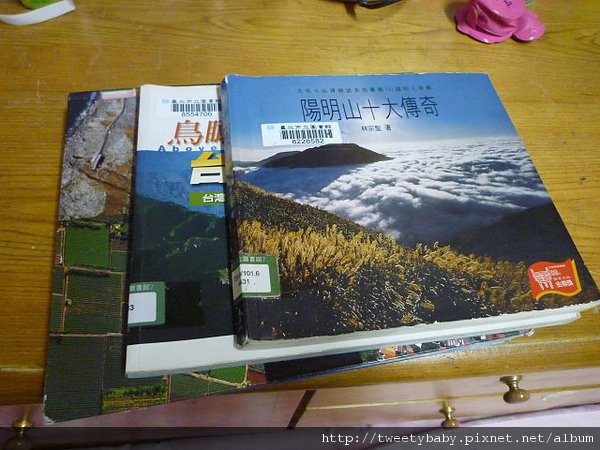 2011除夕 041.JPG