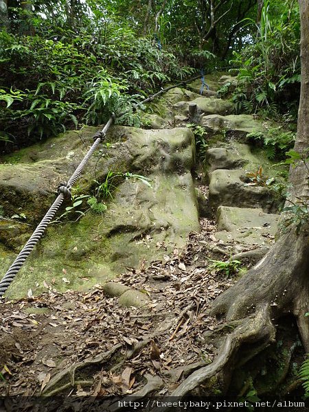 蝙蝠洞.皇帝殿東峰.玉京山 131.JPG