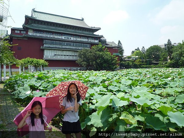 台北植物園 013.JPG