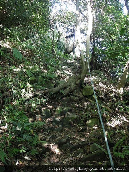 占山 036.JPG