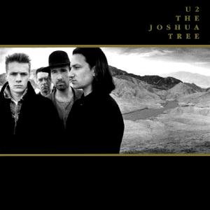 The Joshua Tree.JPG