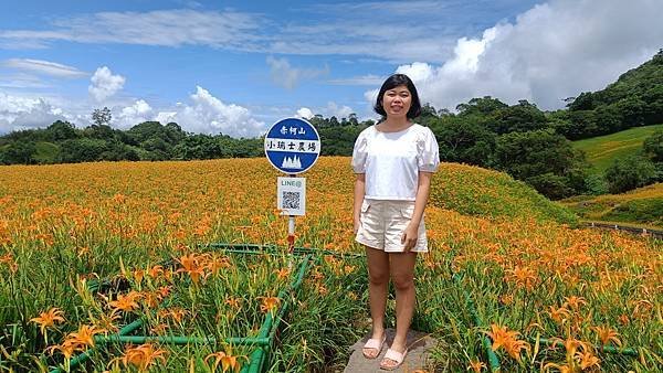 2023 0901 海葵颱風追著跑的環島旅行