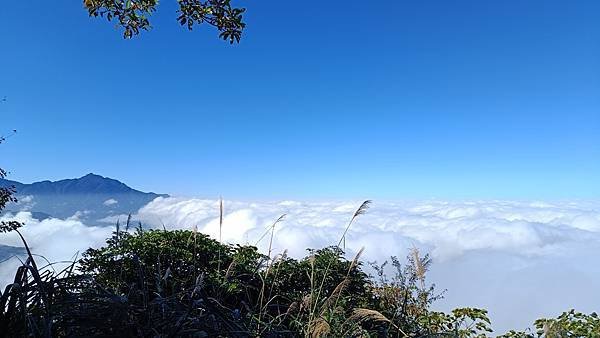 20231123 小百岳 鵝公髻山 置身雲霧森林空靈高山美景