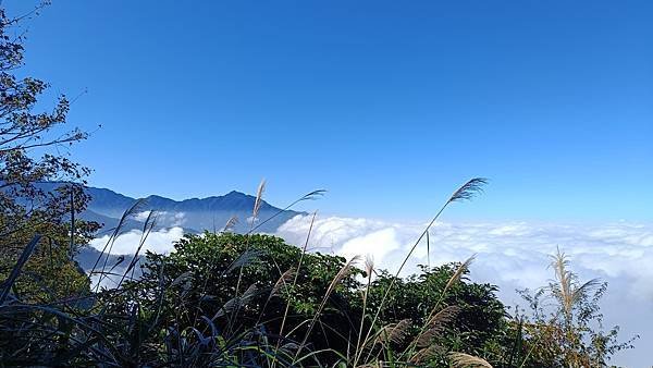 20231123 小百岳 鵝公髻山 置身雲霧森林空靈高山美景