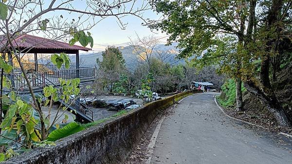 20231210 苗栗泰安 小百岳馬拉邦山賞楓