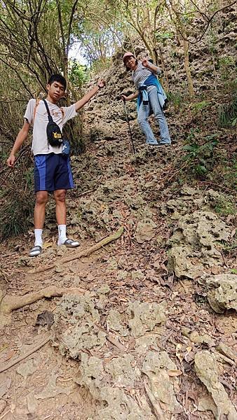 20231217 高雄鼓山區 壽山(柴山)小百岳珊瑚礁地質