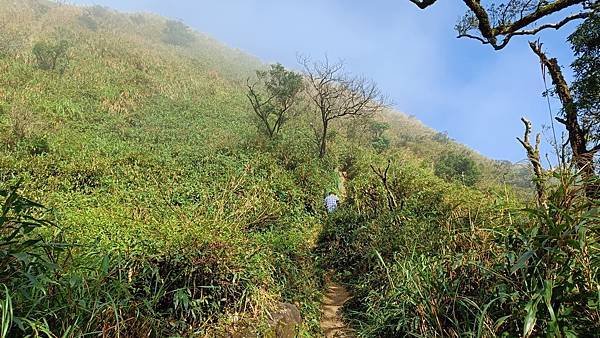 20231230 宜蘭礁溪鄉 三角崙山小百岳 抹茶山超美