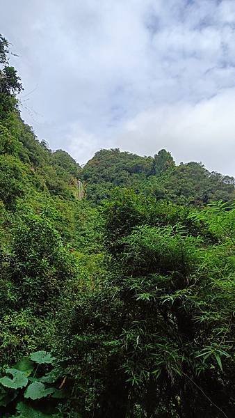 20231230 宜蘭礁溪鄉 三角崙山小百岳 抹茶山超美