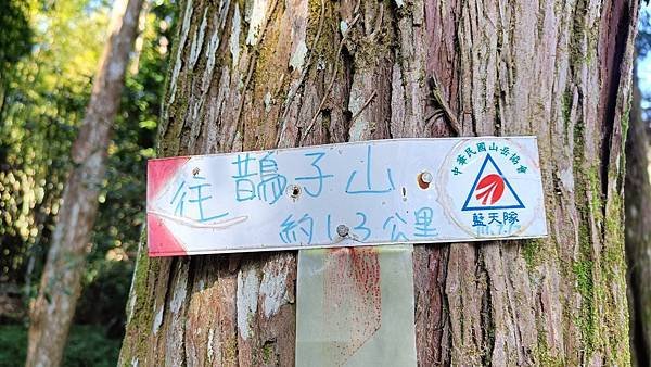 20231231 宜蘭礁溪 鵲子山 小百岳 遠眺龜山島 碧山