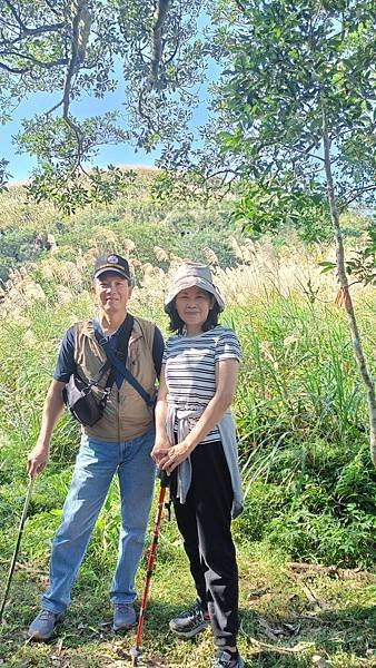 20231231 宜蘭礁溪 鵲子山 小百岳 遠眺龜山島 碧山