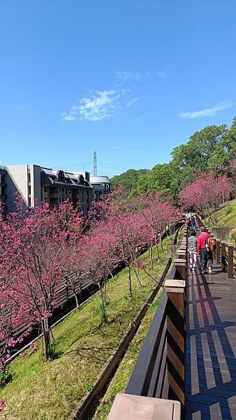 2024 02 養生村 四獸山 小姐姐生日 基隆山小集景