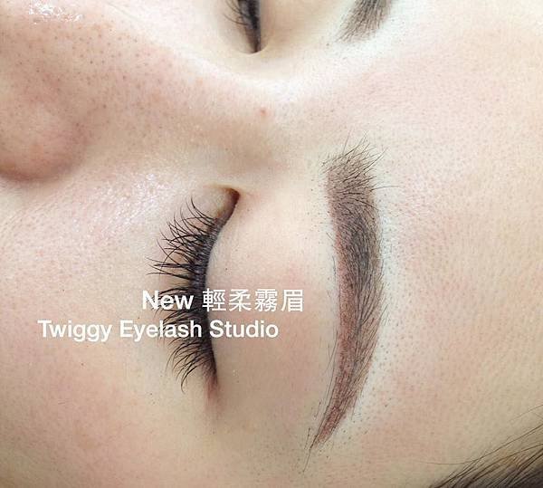 【輕柔霧眉】美睫狂潮 Twiggy Lash Studio 