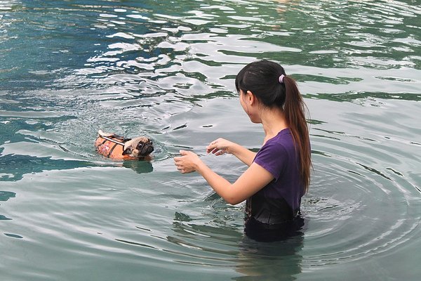 IMG_8716.JPG