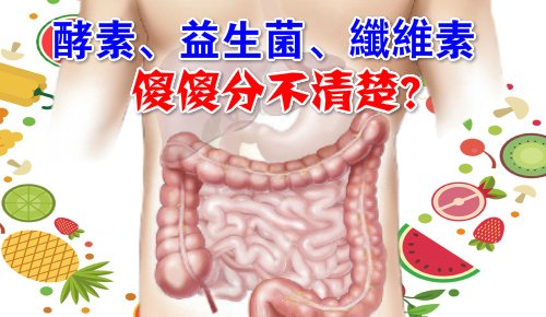 酵素益生菌纖維素.jpg