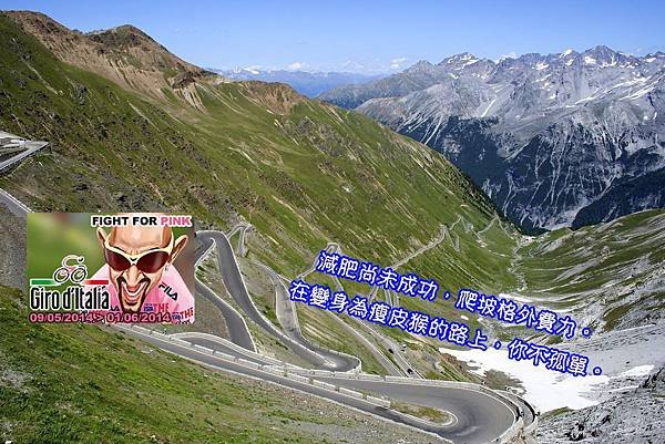 Passo dello Stelvio-pantani.jpg