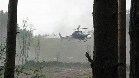 SW_(14).jpg