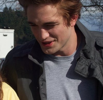 robert_onset_twilightmoms_002