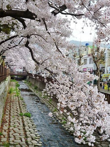 1-1韓國慶州余佐川橋 (0)