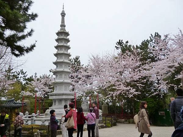 1-1韓國東海龍宮寺 (2)