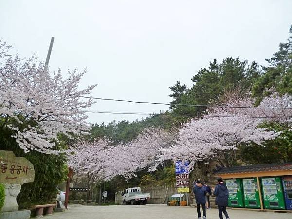 1-1韓國東海龍宮寺 (10)