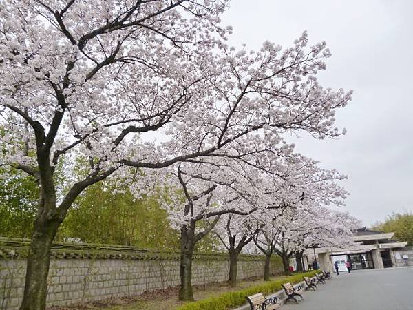 1-1韓國慶州博物館 (0).jpg