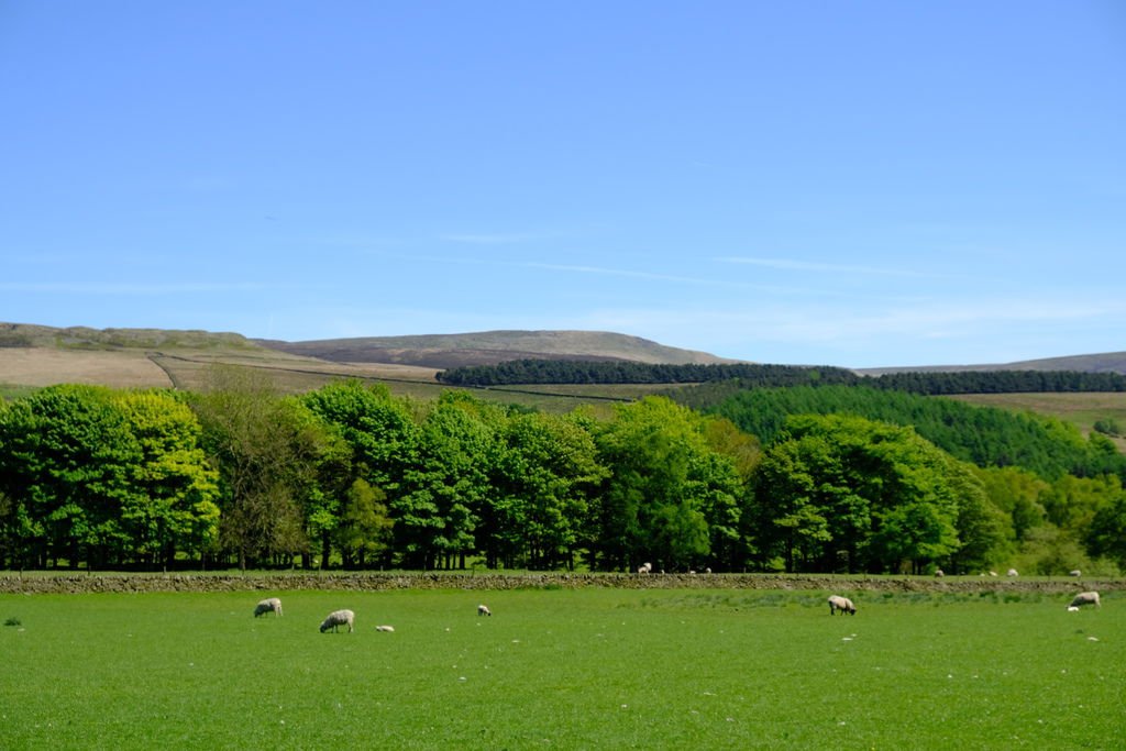 DSCF4514.JPG