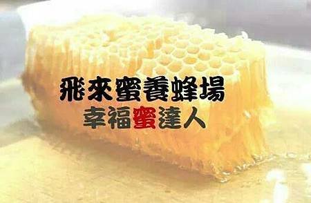 蜂巢蜜4.jpg