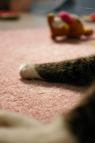 200906