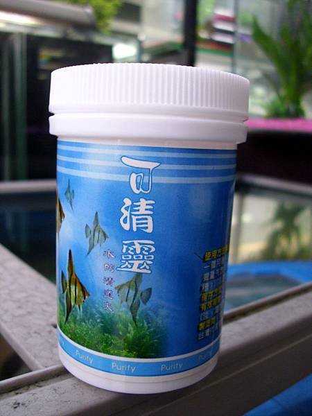 DSCI0168.JPG
