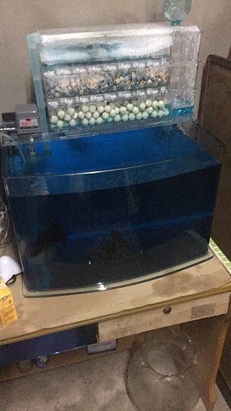 「魚管家」觀賞魚線上交流平台180301解答