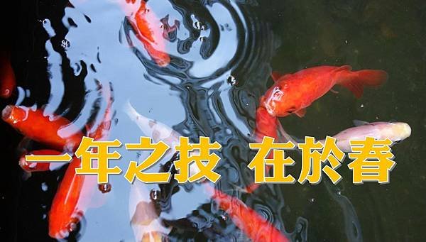 最終刊頭圖.jpg