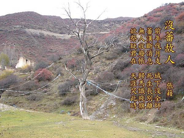 158沒蕃故人.張籍.jpg